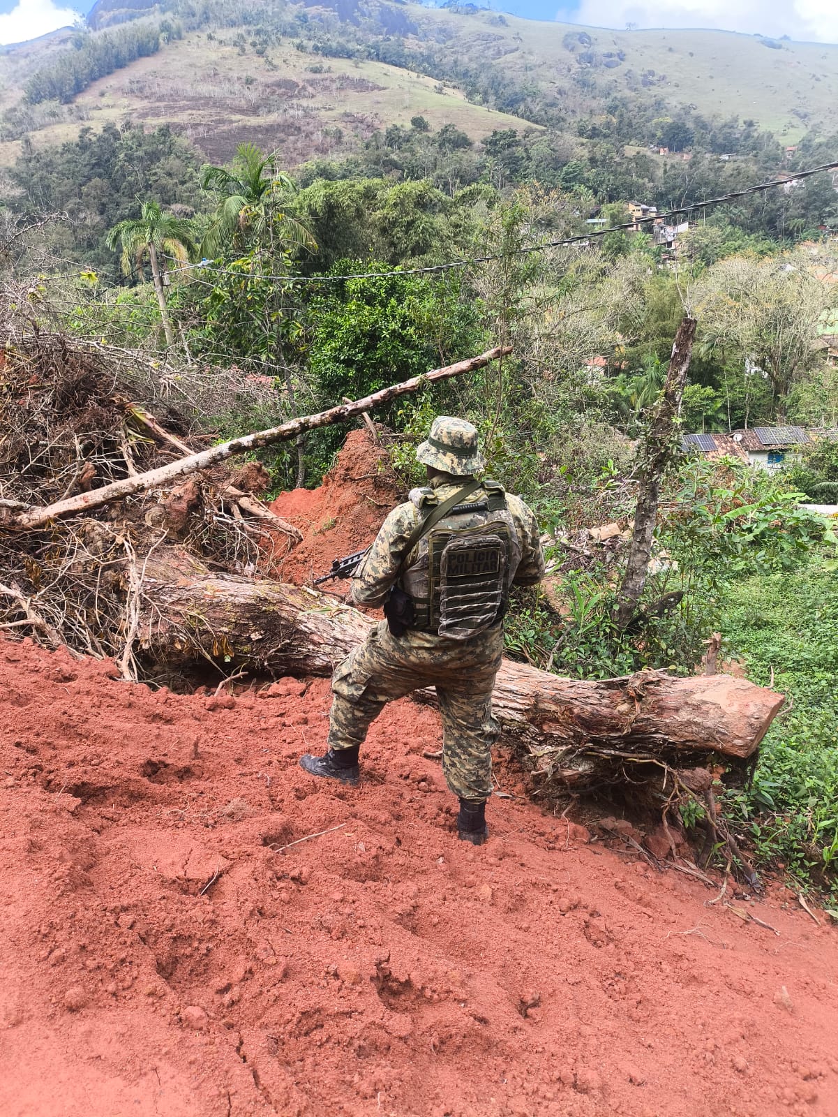 Denúncia ao Linha Verde leva polícia a identificar área de 7 mil metros quadrados degradada em Paraty